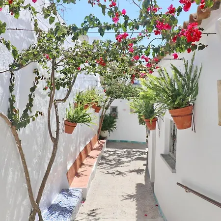 Complejo La Chanca, Hab 16 Appartement *